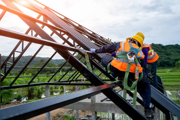 Best Roof Repair Specialists  in Wapakoneta, OH