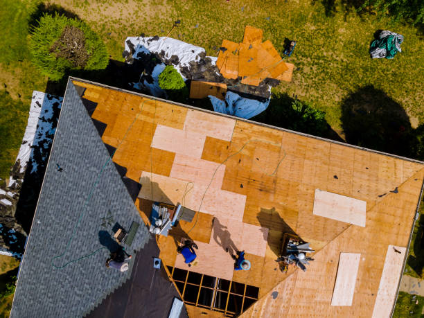 Best Affordable Roofing Company  in Wapakoneta, OH