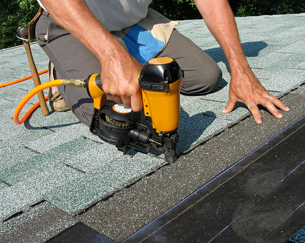 Best Local Roofing Companies  in Wapakoneta, OH