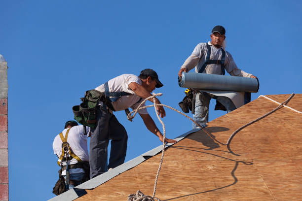 Best Metal Roofing Contractor  in Wapakoneta, OH