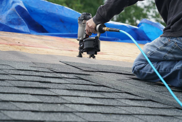 Best Roof Repair Services  in Wapakoneta, OH