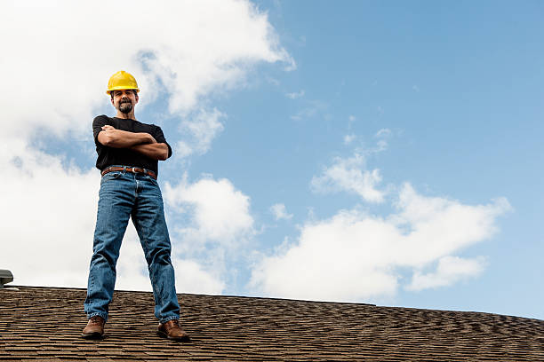 Best Roof Gutter Cleaning  in Wapakoneta, OH