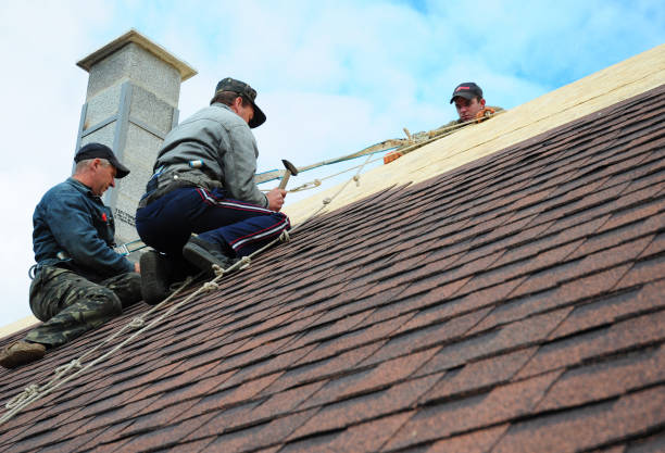 Best Gutter Installation and Roofing  in Wapakoneta, OH