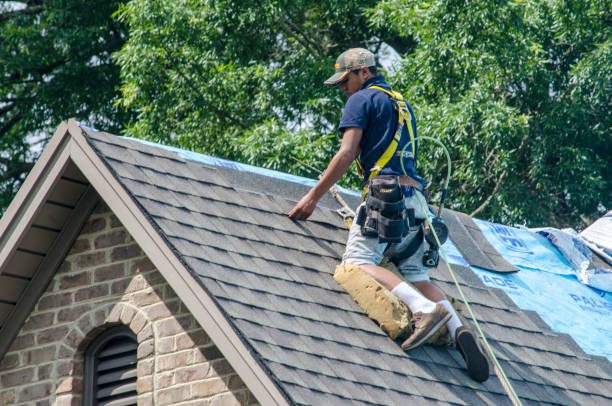 Roof Installation Near Me in Wapakoneta, OH